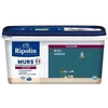 Image de RIPOLIN Peinture Couleur Velours pour Murs. Boiseries Radiateurs - Bleu Ainhoa