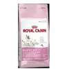 Image de Royal Canin Mother & Babycat - 4kg