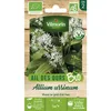 Image de Ail Des Ours - Bio Vilmorin