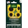 Image de Vilmorin 5970107 Tournesol Waooh!