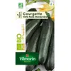 Image de Courgette Verte Noire Maraichere Bio Vilmorin