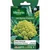 Image de Graines De Chou Brocoli VariÃ©tÃ© "Romanesco PrÃ©coce" Vilmorin Semis De Mars Ã Juillet