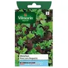 Image de Graines De Mesclun VariÃ©tÃ© "Doux Sans Roquette" Vilmorin Semis De Janvier Ã Juillet
