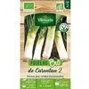 Image de Poireau De Carentan 2 Bio Vilmorin