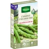 Image de Graines De FÃ¨ve VariÃ©tÃ© "Aguadulce" Vilmorin Semis De FÃ©vrier Ã Mars Et Octobre Ã Novembre
