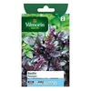 Image de Graines De Basilic VariÃ©tÃ© "Pourpre" Vilmorin Semis De Mars Ã Mai