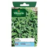 Image de Graines De Sauge VariÃ©tÃ© "Officinale" Vilmorin Semis De Mars Ã Juillet