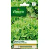 Image de Graines De Laitue VariÃ©tÃ© "Salad Bowl Verte" Vilmorin Semis Toute L'annÃ©e