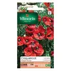 Image de Graines De Coquelicot Simple Rouge Vilmorin