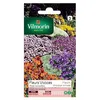 Image de Graines De Fleurs En MÃ©lange Vivaces Pour Rocailles Vilmorin