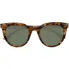 Image de Lunettes de soleil Isotoner  Lunettes de soleil Femme Papillon Écaille P31820896