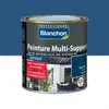 Image de Peinture multi-supports application extÃ©rieur Bleu capri ral 5019 0,5L BLANCHON