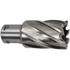 Image de Fraises pour perceuse magnÃ©tique MAKITA HB500 (Longueur 30mm)