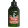 Image de L`occitane en provence Après-shampooing pour cheveux secs et abîmés (Aromachologie) volume 500ml Promo