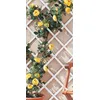 Image de Treillis Extensible En Pvc 1 X 2 M Blanc Treilliflex