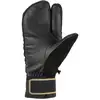 Image de Moufles CAIRN CHIRRIPO M C-TEX PRO (BLACK COFFEE) Homme