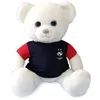 Image de Gipsy Ours Fff 25 Cm + T Shirt