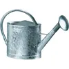 Image de Arrosoir acier galvanisÃ© avec pomme 13 litres