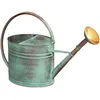 Image de Arrosoir vert vieilli avec pomme 4 litres