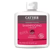Image de Cattier Shampoing Colorant BIO Sans Sulfate 250ML