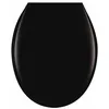 Image de Abattant WC - thermodur - noir - Rd'2 Inox Tissot Pro