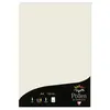 Image de Pollen - 50 feuilles papier A4 120 g - Gris perle