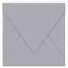 Image de Pollen - 20 enveloppes carrées 16.5 x 16.5 cm - Gris koala