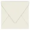Image de Pollen - 20 enveloppes carrées 16.5 x 16.5 cm - Gris perle
