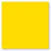 Image de Pollen - 25 cartes carrées 16 x 16 cm - Jaune soleil