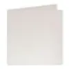 Image de Pollen - 25 cartes doubles carrées 13.5 x 13.5 cm - Blanc irisé