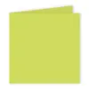 Image de Pollen - 25 cartes doubles carrées 13.5 x 13.5 cm - Vert bourgeon