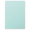 Image de Clairefontaine Etui De 25 Feuilles 210x297 Vert Jade 210g