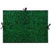 Image de Carton Ã Dessin Annonay Vert Ã Cordons B2 52 X 72cm