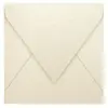 Image de Pollen - 20 enveloppes carrées 14 x 14 cm - Ivoire irisé