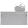 Image de Pollen - 20 enveloppes rectangulaires 11 x 22 cm - Argent