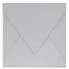 Image de Pollen - 20 enveloppes carrées 14 x 14 cm - Argent