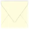 Image de Pollen - 20 enveloppes carrées 14 x 14 cm - Ivoire