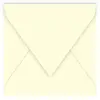 Image de Pollen - 20 enveloppes carrées 16.5 x 16.5 cm - Ivoire