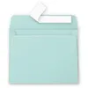 Image de Clairefontaine Enveloppe 120g 90x140 Vert Jade Pqt 20 Avec Bande De Protection