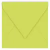 Image de Pollen - 20 enveloppes carrées 16.5 x 16.5 cm - Vert bourgeon