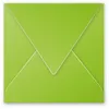Image de Clairefontaine Enveloppe 120g 140x140 Vert Menthe Pqt 20
