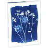 Image de Set de correspondance Cyanotype 12 x 16,5 cm
