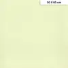 Image de Etival - Papiers dessin à grain couleur - 160g - 50 x 65 cm - Vert tilleul