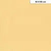 Image de Etival - Papiers dessin à grain couleur - 160g - 50 x 65 cm - Maïs