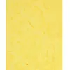 Image de Clairefontaine  Sac-Ãtui De 10 Feuilles, Papier MÃ»rier 65x95cm Citron