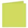 Image de Pollen - 25 cartes doubles carrées 16 x 16 cm - Vert bourgeon