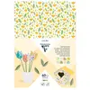 Image de Clairefontaine 354599C carton 40 feuilles 160 g/mÂ²
