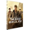 Image de Le Labyrinthe : La Terre Brûlée