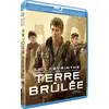 Image de Le Labyrinthe : La Terre Brûlée - Blu-ray