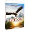 Image de Freedom, l'envol d'un aigle